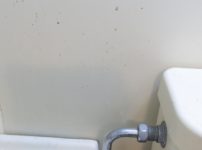 トイレの壁や床にカビが！カビ取り＆カビ予防の方法とおすすめアイテム